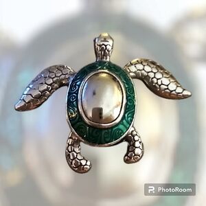 3/$20 GANZ Goodluck Talisman Turtle Pocket Charm